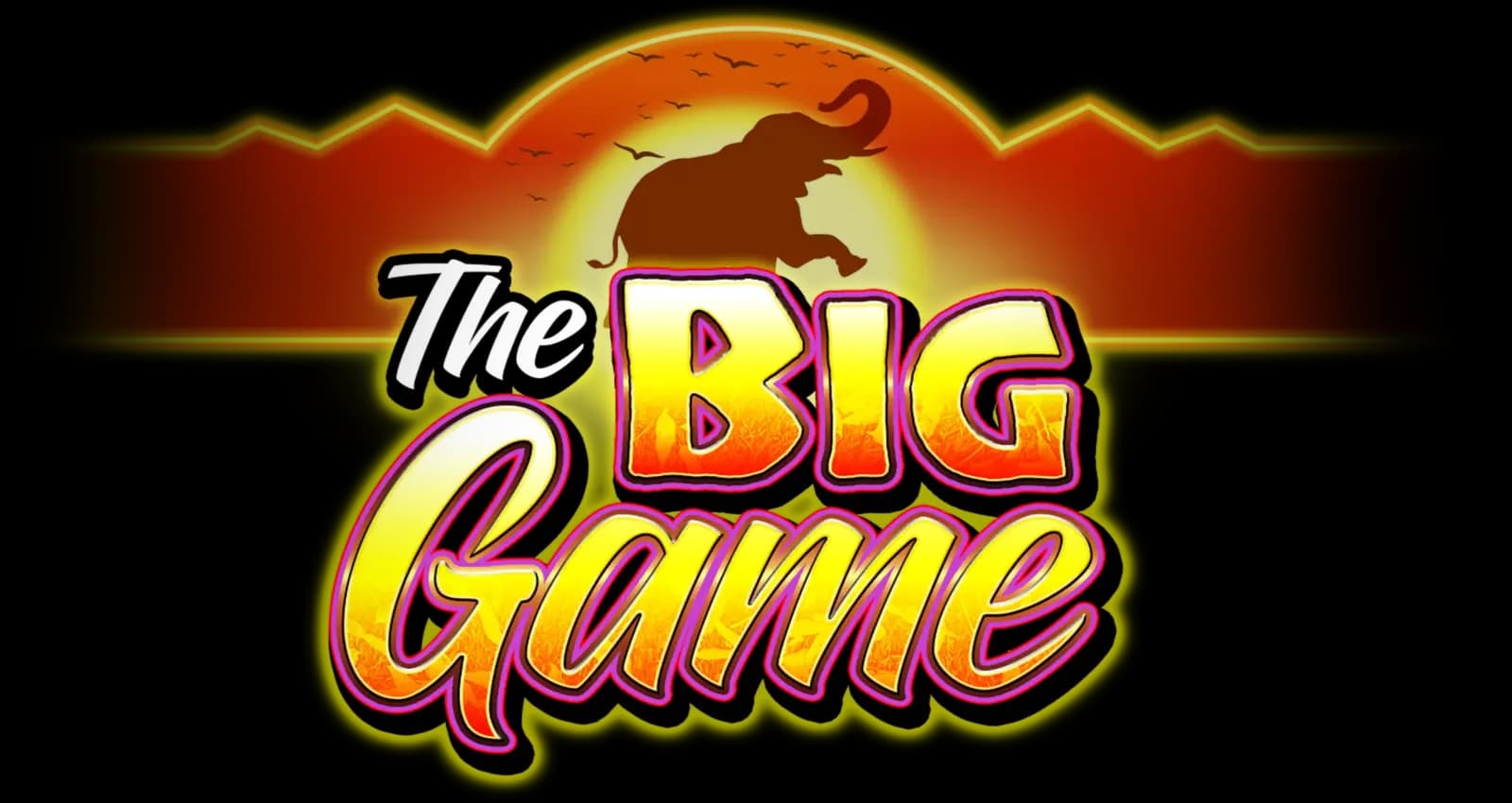The Big Game Logo